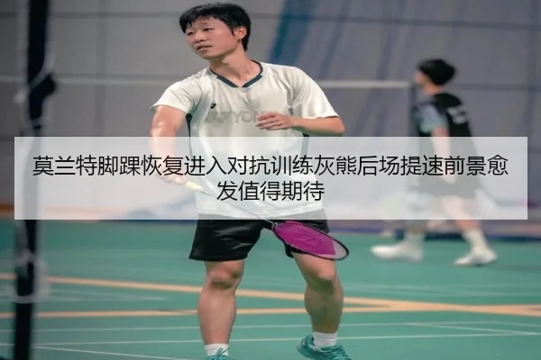 莫兰特脚踝恢复进入对抗训练灰熊后场提速前景愈发值得期待